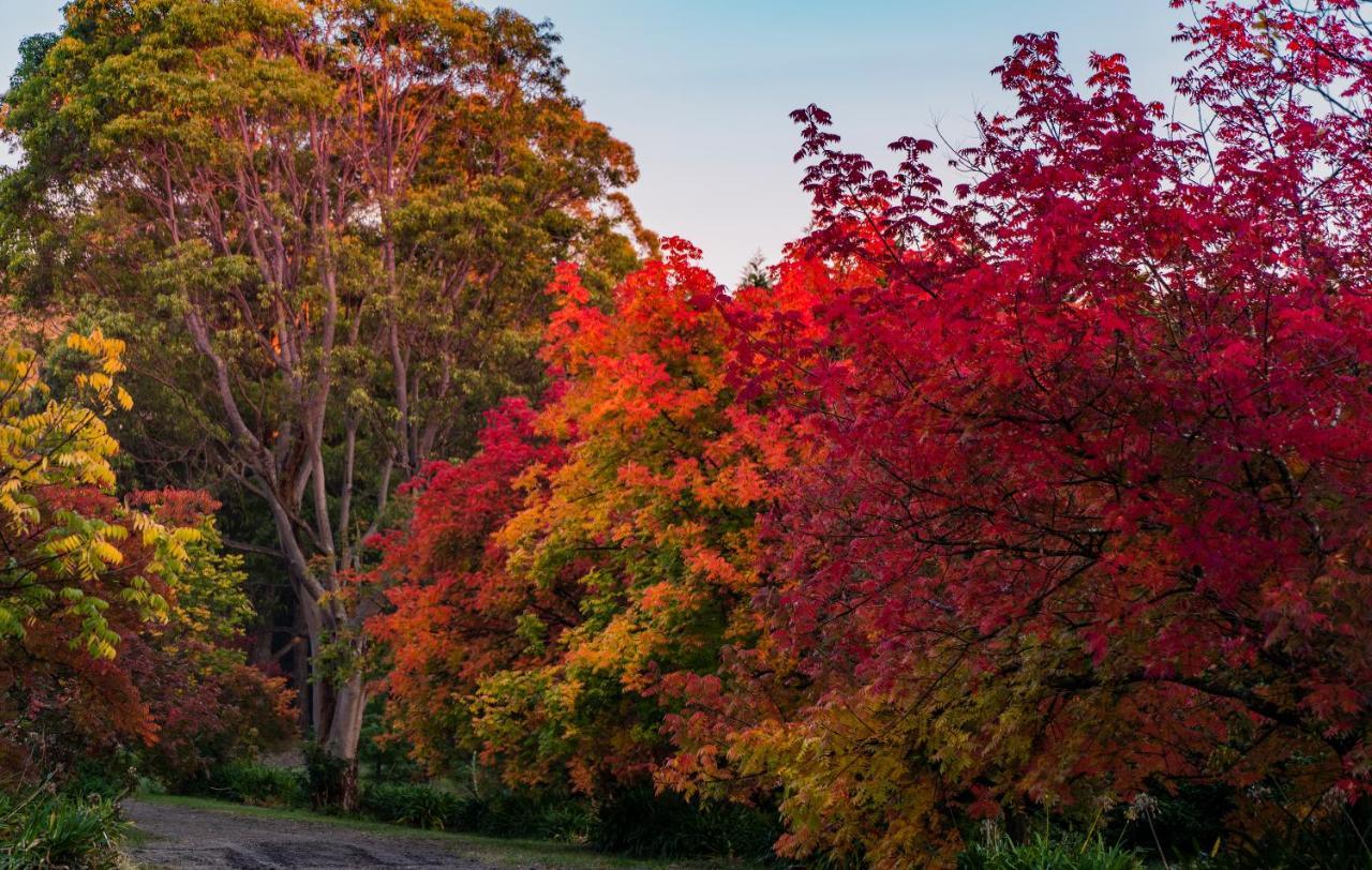 True North - 4Br Home & Garden In Bush Setting With Huge Bath Bilpin エクステリア 写真