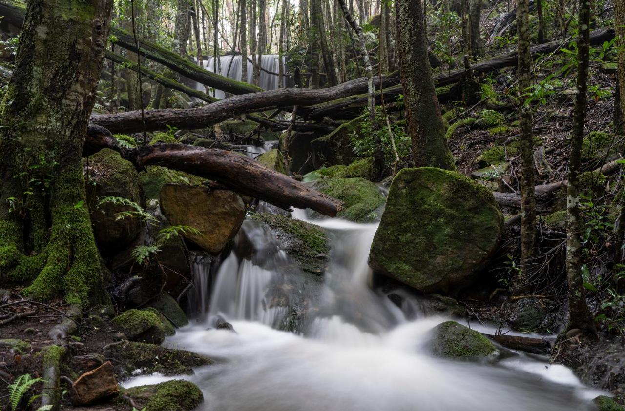True North - 4Br Home & Garden In Bush Setting With Huge Bath Bilpin エクステリア 写真