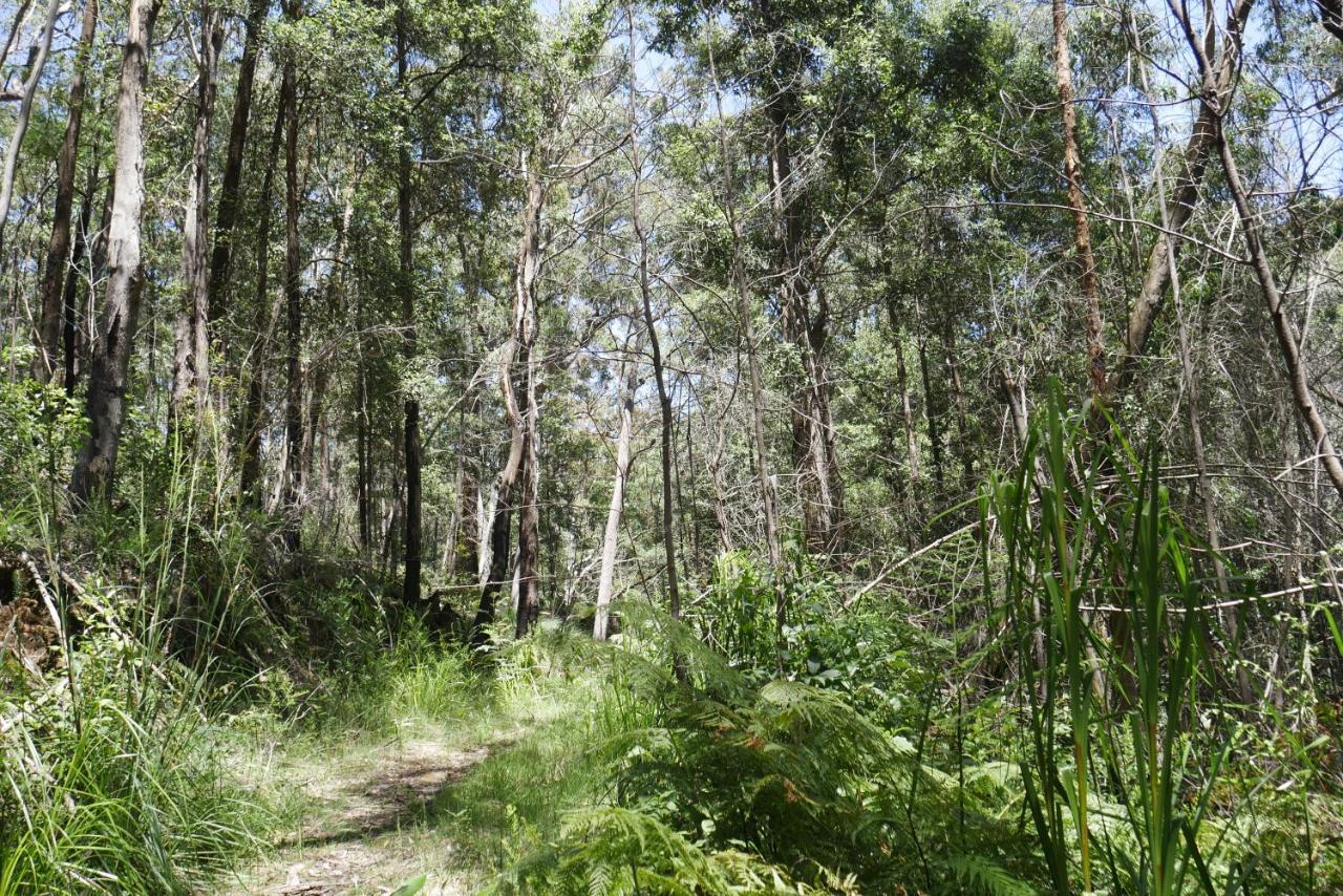 True North - 4Br Home & Garden In Bush Setting With Huge Bath Bilpin エクステリア 写真