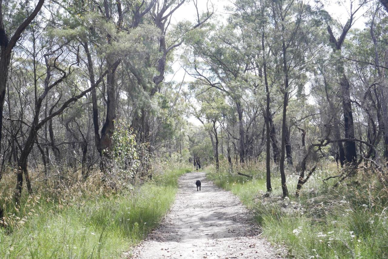 True North - 4Br Home & Garden In Bush Setting With Huge Bath Bilpin エクステリア 写真