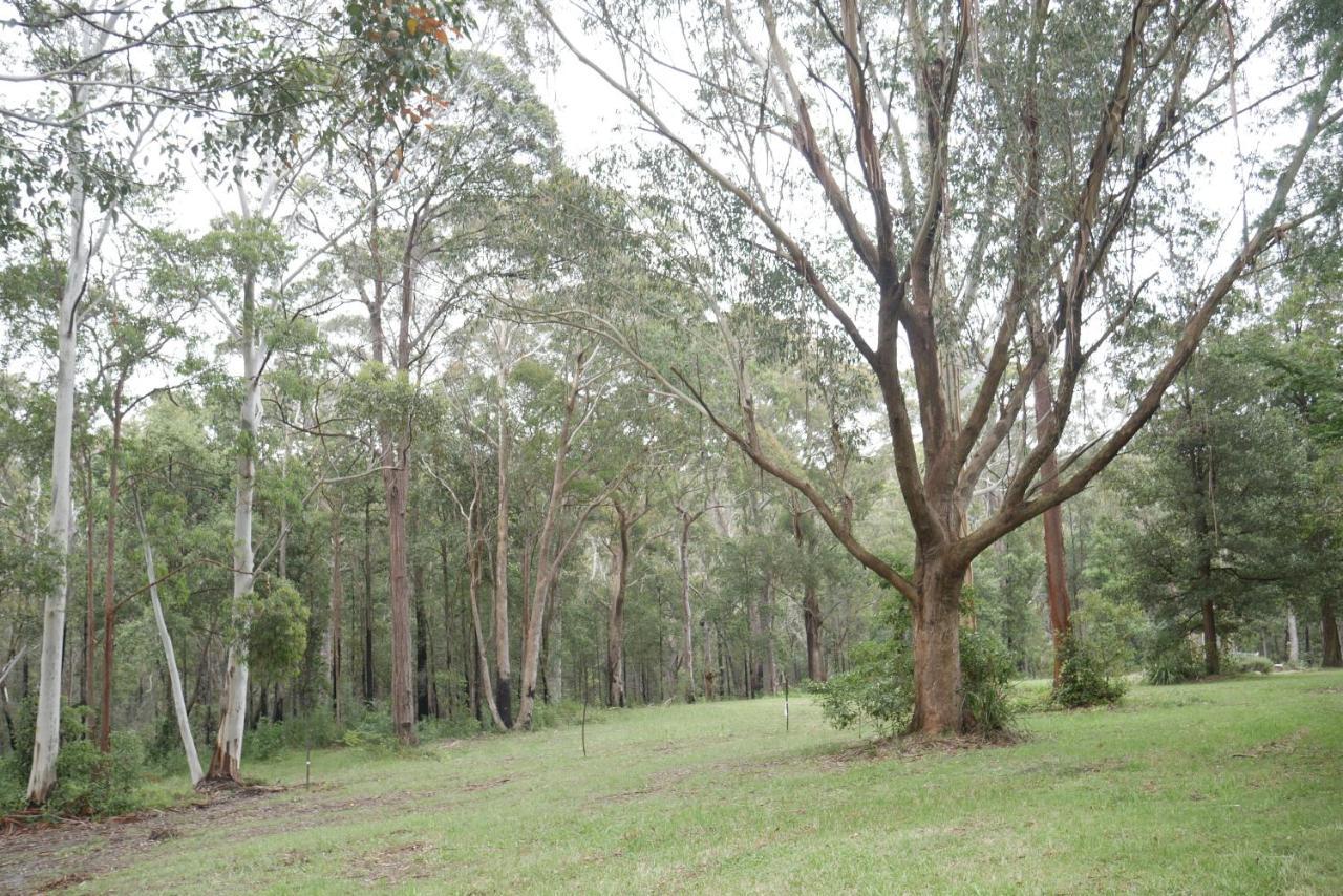 True North - 4Br Home & Garden In Bush Setting With Huge Bath Bilpin エクステリア 写真