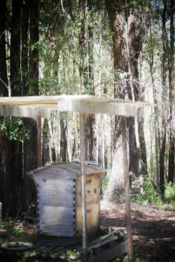 True North - 4Br Home & Garden In Bush Setting With Huge Bath Bilpin エクステリア 写真
