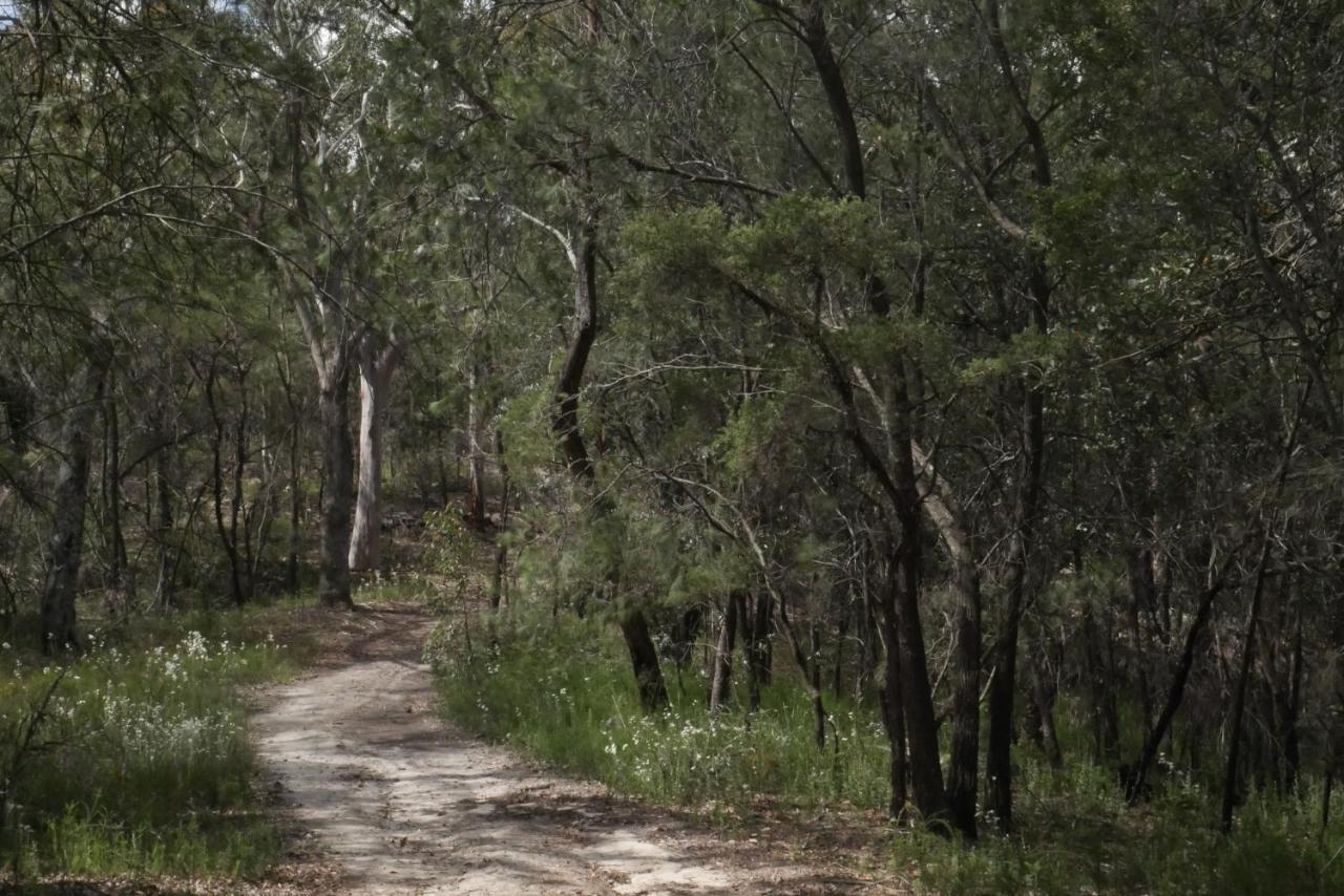True North - 4Br Home & Garden In Bush Setting With Huge Bath Bilpin エクステリア 写真