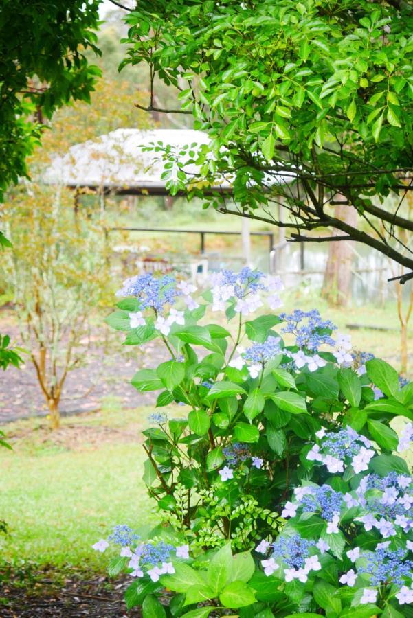 True North - 4Br Home & Garden In Bush Setting With Huge Bath Bilpin エクステリア 写真